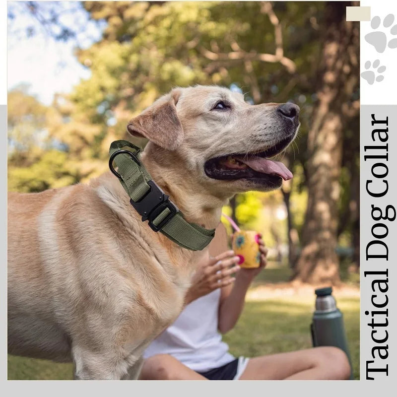 Tactical Dog Collar & Leash Set – Durable Adjustable Military Training Gear for Medium & Large Dogs
