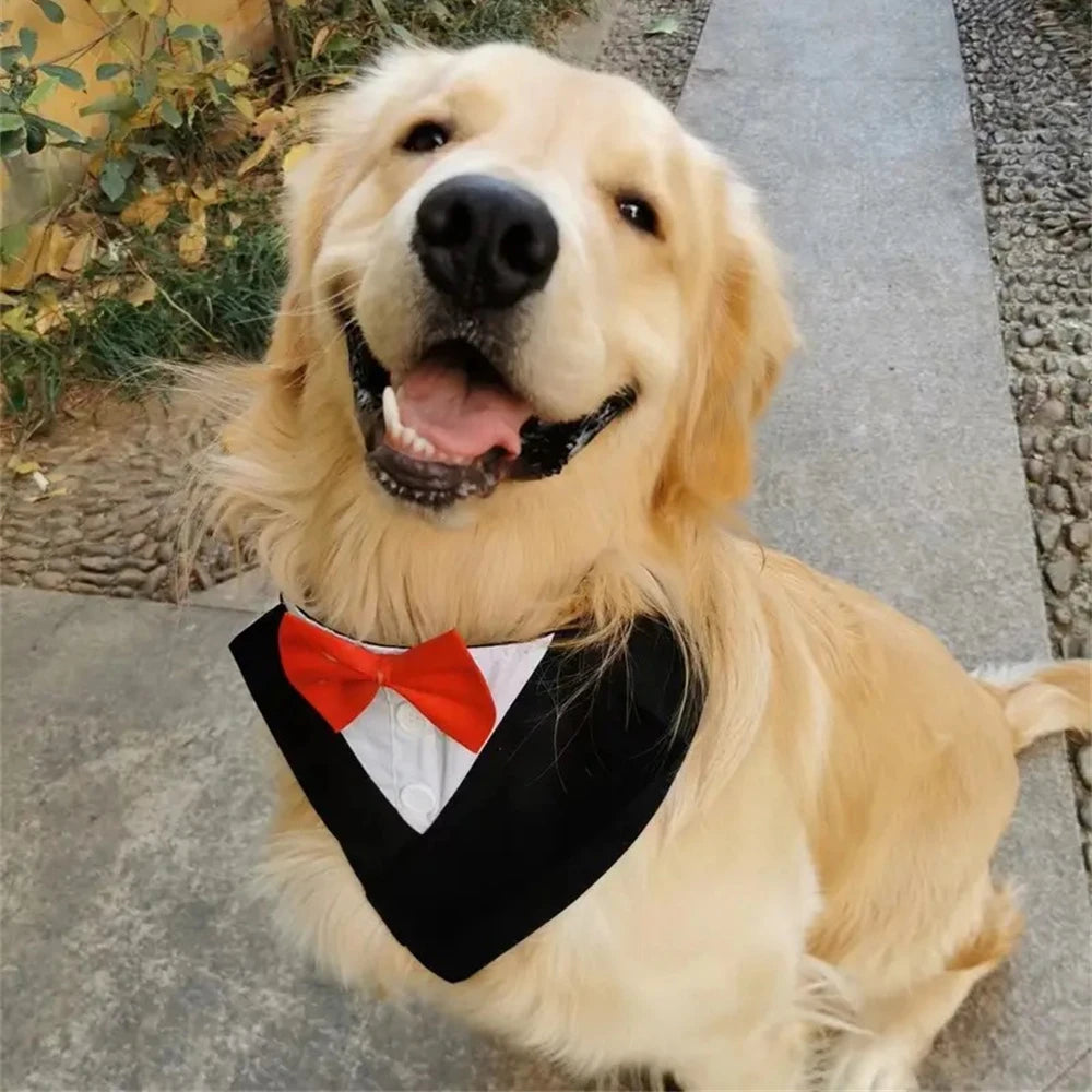 Wedding Dog Bandana with Bow Tie – Formal Triangle Scarf for Small & Large Dogs (Golden Retriever, Labrador, Shepherd)