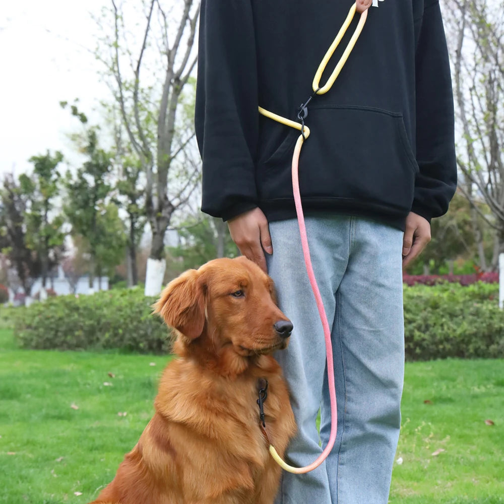 Double Head Crossbody Dog Leash – Training & Walking Rope Lead for Dogs & Cats