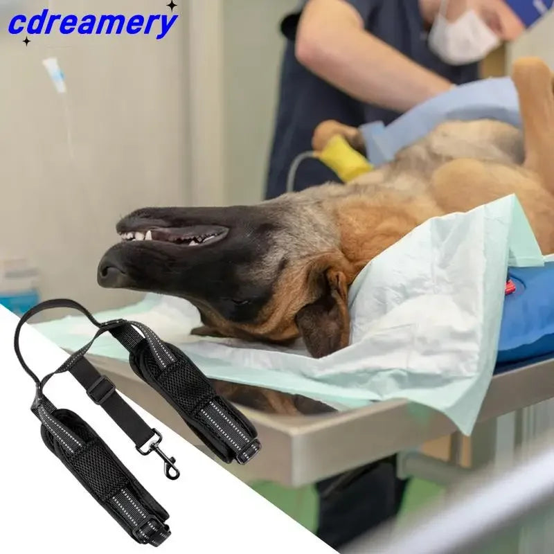CDY Dog Lift Harness – Reflective Adjustable Back Leg Support Sling