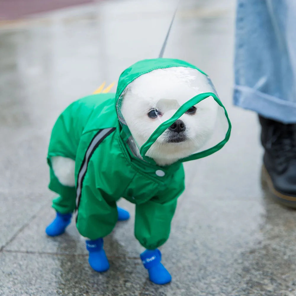 Bear Dog Raincoat – Full Body Waterproof Puppy Jacket with Hood