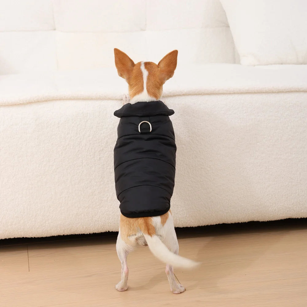 Fashion Pet Winter Coat – Thick Warm Windproof Jacket for Small & Medium Dogs