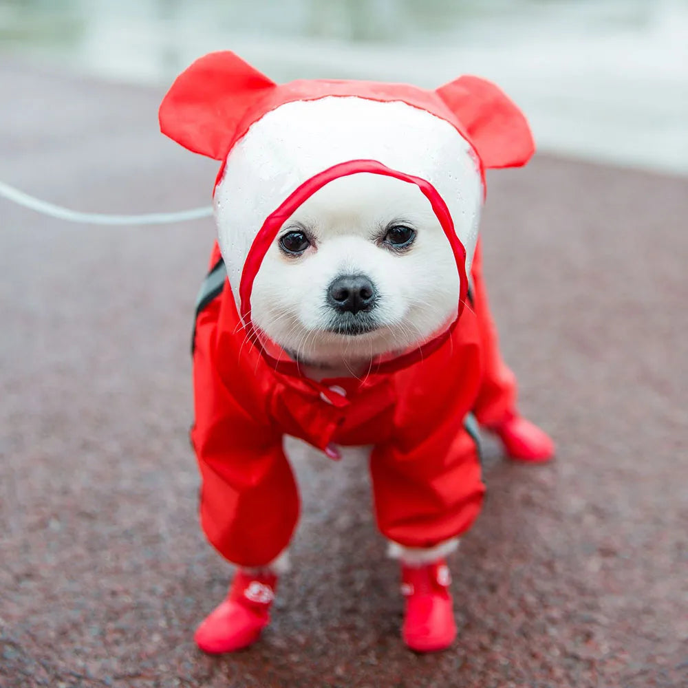 Bear Dog Raincoat – Full Body Waterproof Puppy Jacket with Hood