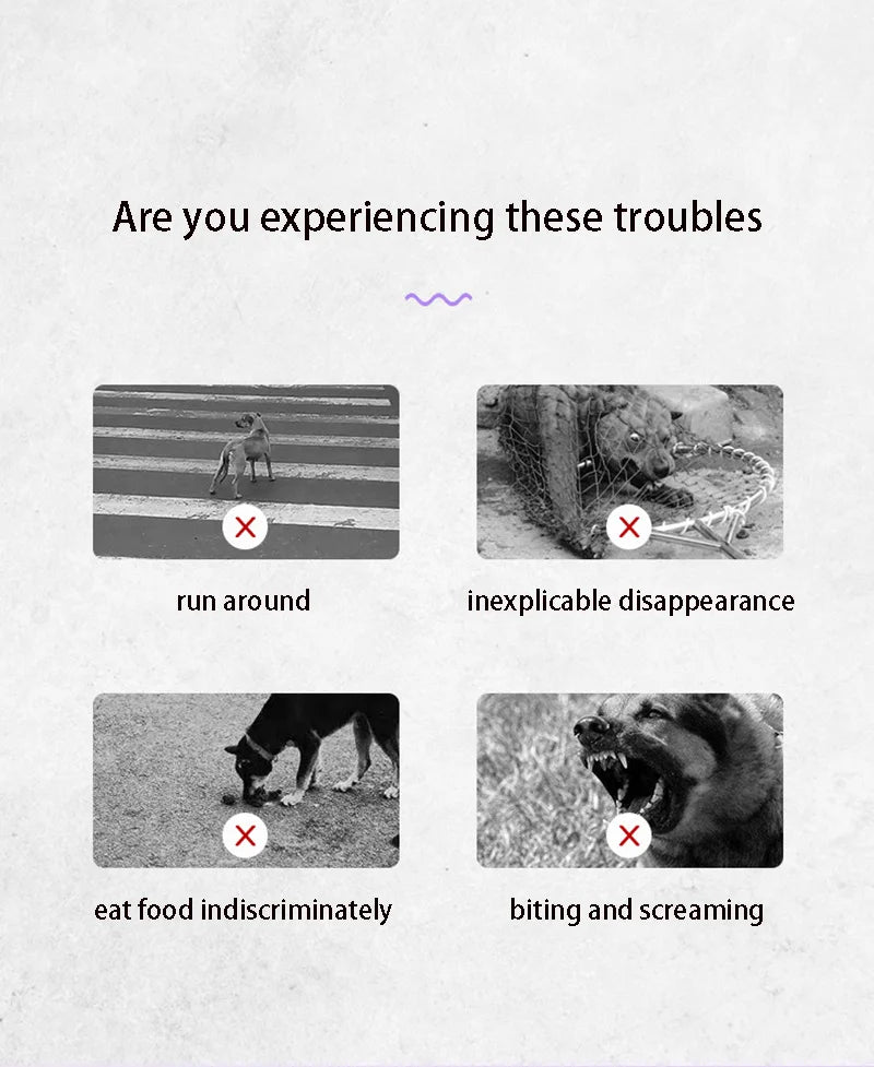 Braided Rope Dog Slip Leash – Adjustable Training Lead for Small & Medium Dogs