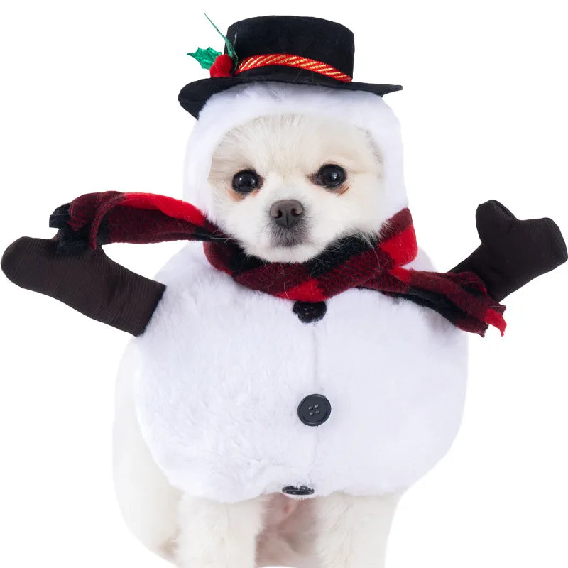 Halloween Dagger Costume – Funny Knife-Holding Outfit for Dogs & Cats