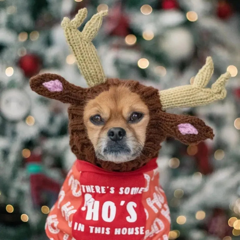 Christmas Elk Dog Hat – Knitted Warm Windproof Pet Headgear