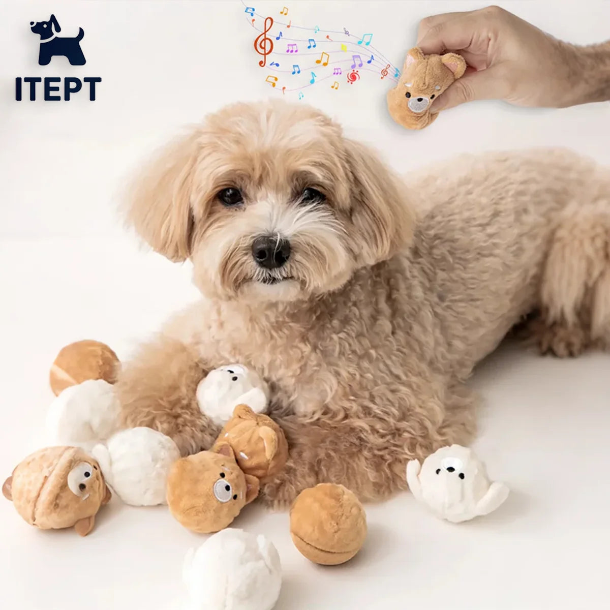 Squeaky Puppy Ball Toy – Spiked Bouncing Chew for Teeth Cleaning, Interactive Toy for Small Dogs & Cats