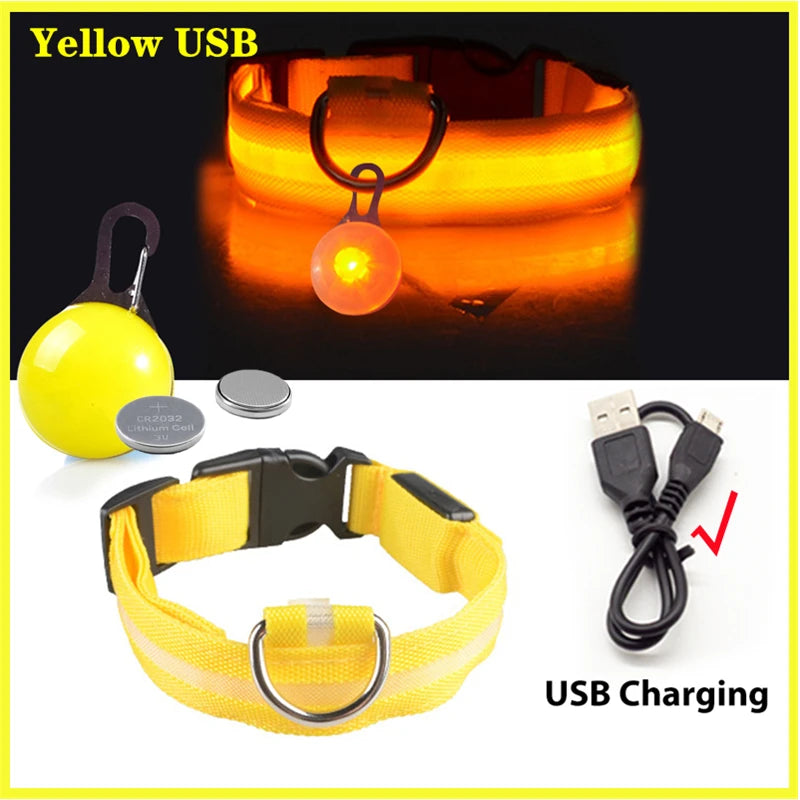 USB Rechargeable LED Dog Collar – Glowing Light-Up Safety Collar with Pendant for Small Dogs & Cats