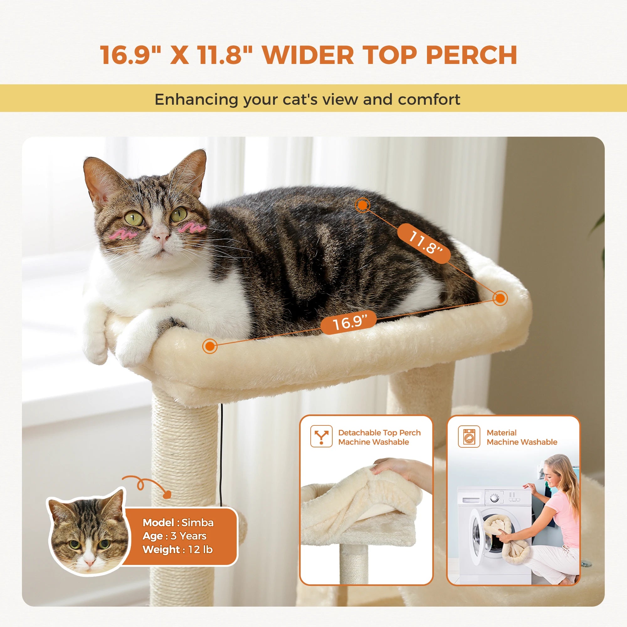 82cm Cat Tree Tower – Double Condos with Detachable Perch & Spring Ball