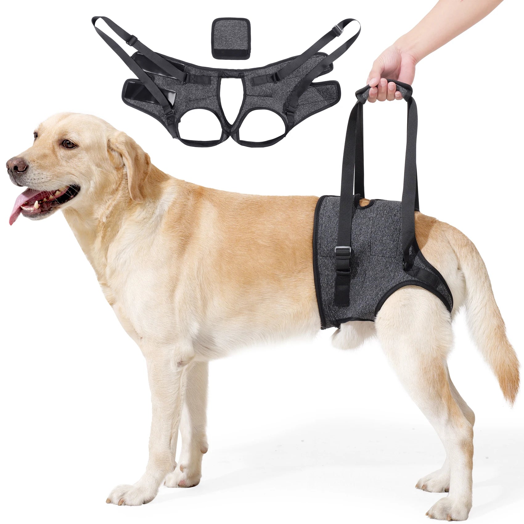 Dog Dog Sling Harness – Hind-Leg Support for Elderly & Disabled Large DogsSling for Large Dogs Hind Leg Support to Help Rehabilitate The Hind Limbs of Elderly Dogs with Weak Hind Legs Disabilities