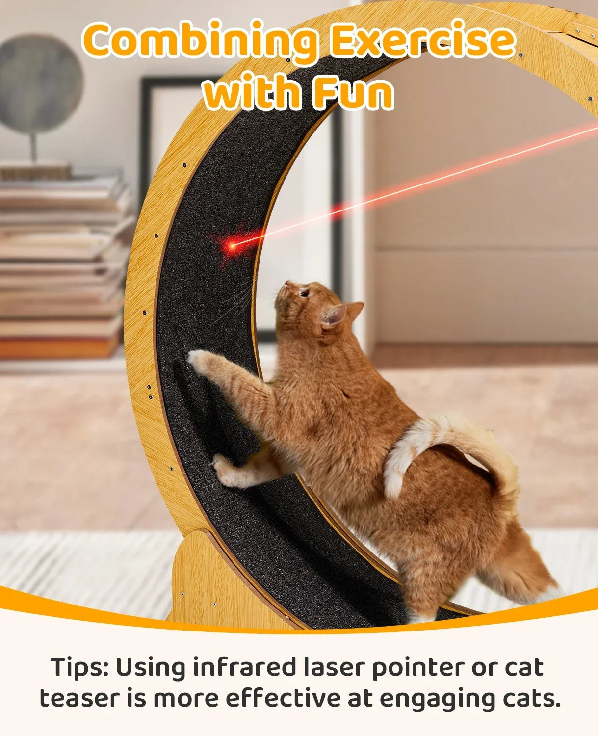 Cat Exercise Wheel – Indoor Running Wheel for Cats & Small Pets