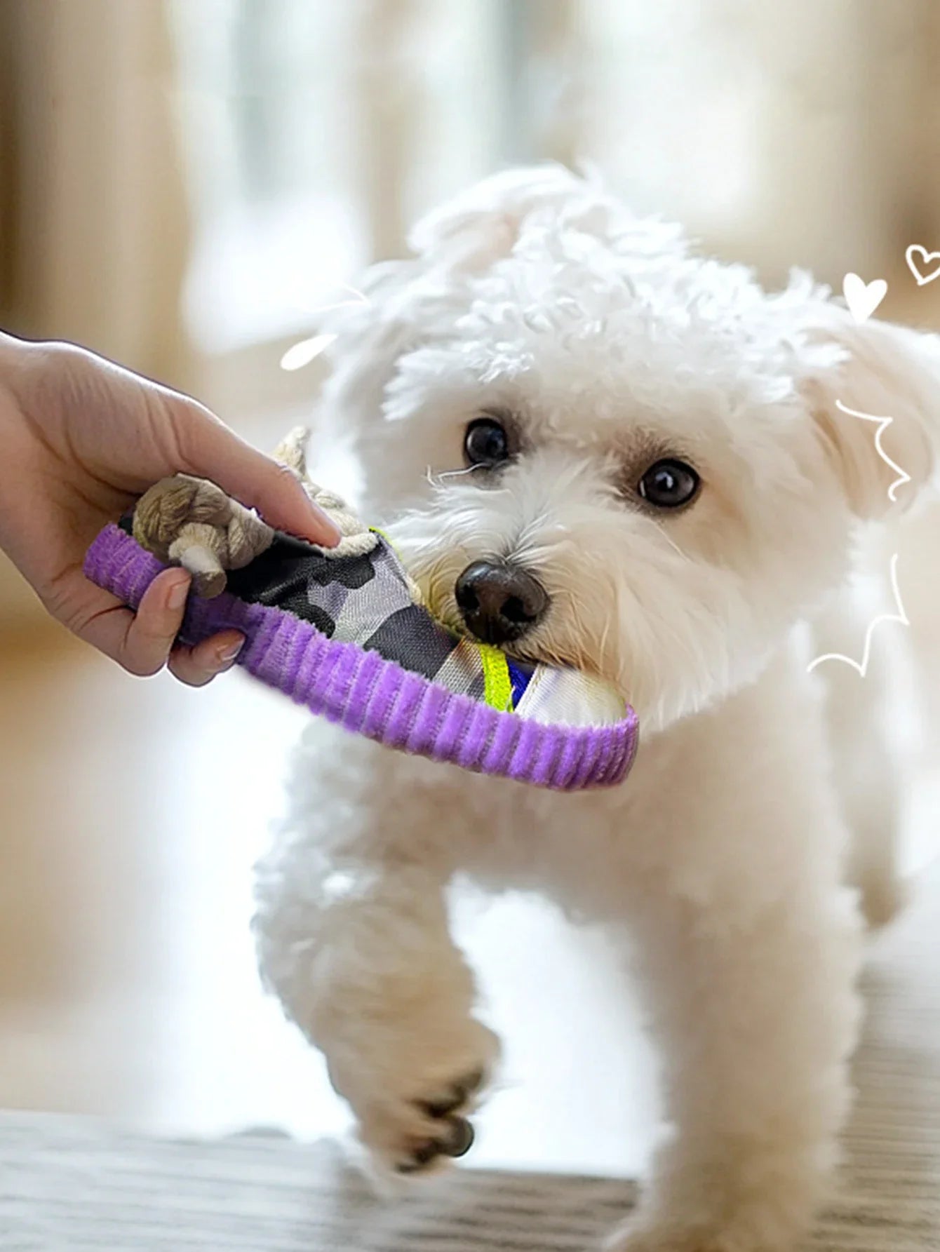 Sneaker-Shaped Dog Chew Toy – With Rope Knots & Squeaky Ball for Aggressive Chewers