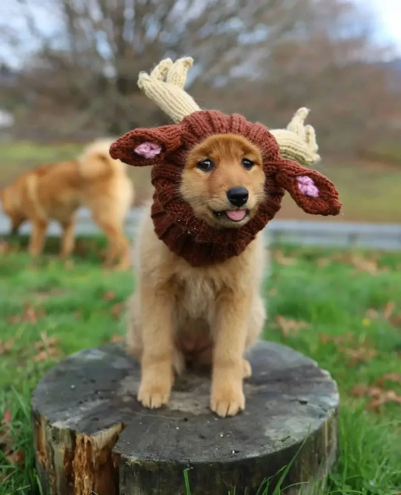 Christmas Elk Dog Hat – Knitted Warm Windproof Pet Headgear