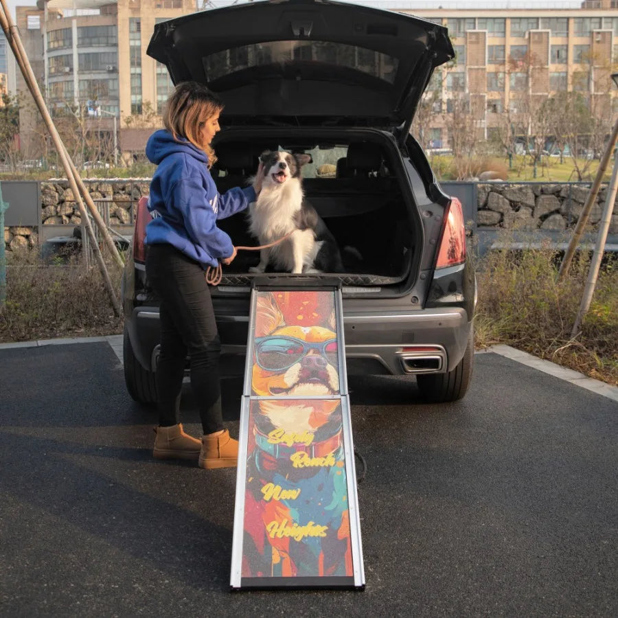 Retractable Aluminum Dog Ramp – Portable Telescoping Pet Steps for Cars, Trucks, and SUVs with Non-Slip Surface – Colorful Pattern