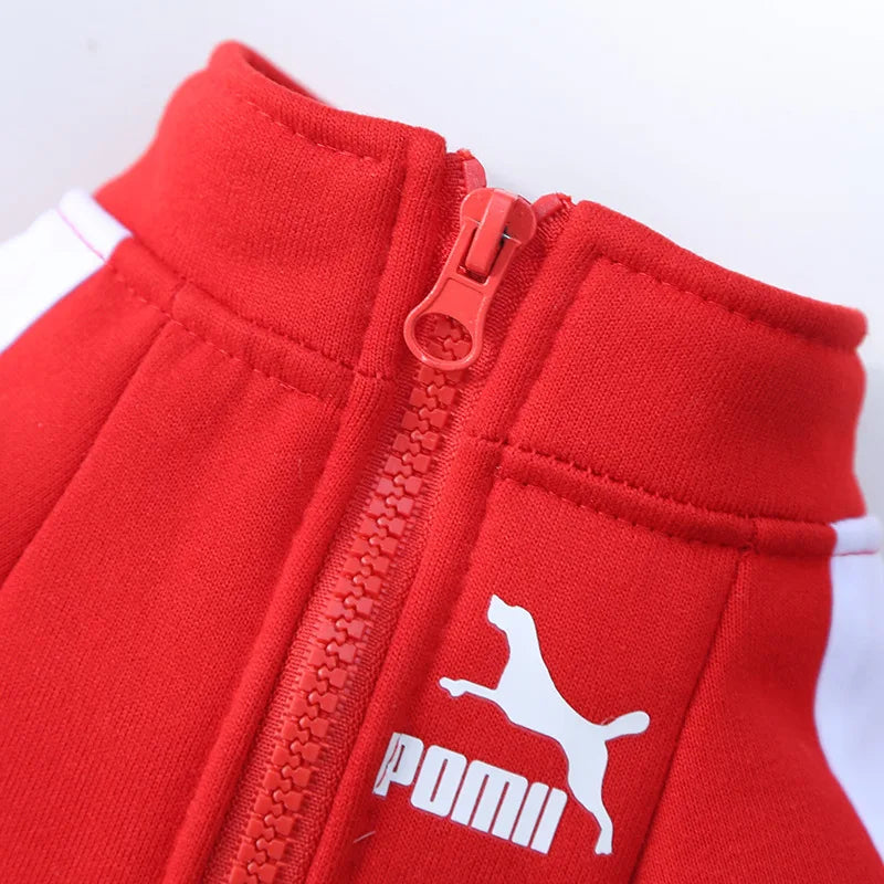 Baseball Dog Jacket – Winter Coat for Small & Medium Dogs