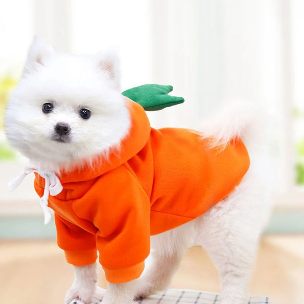 Fruit Dog Hoodie – Warm Fleece Costume for Small Dogs & Cats