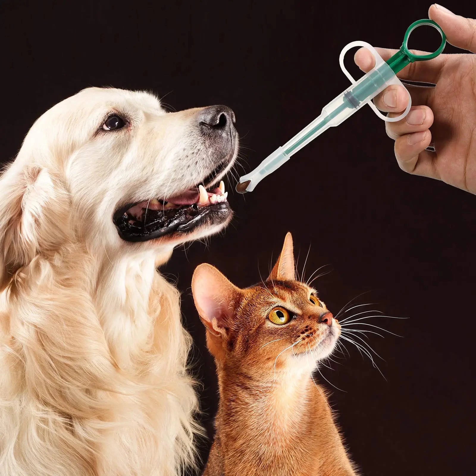 Pet Medication Dispenser – Pill Feeding Stick for Cats & Dogs