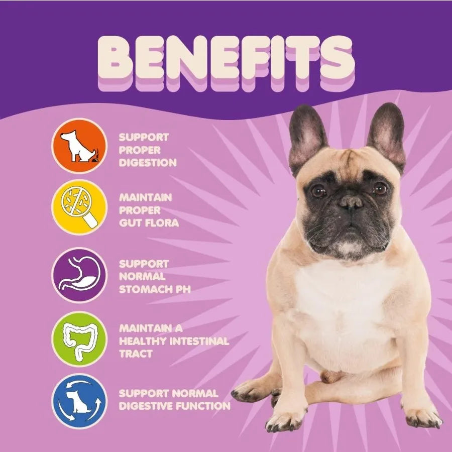 Probiotics for Dogs & Puppies – Extra Strength Formula with 9 Species & 5 Billion CFU per Scoop | Digestive Enzymes for Gut, Immune & Allergy Support