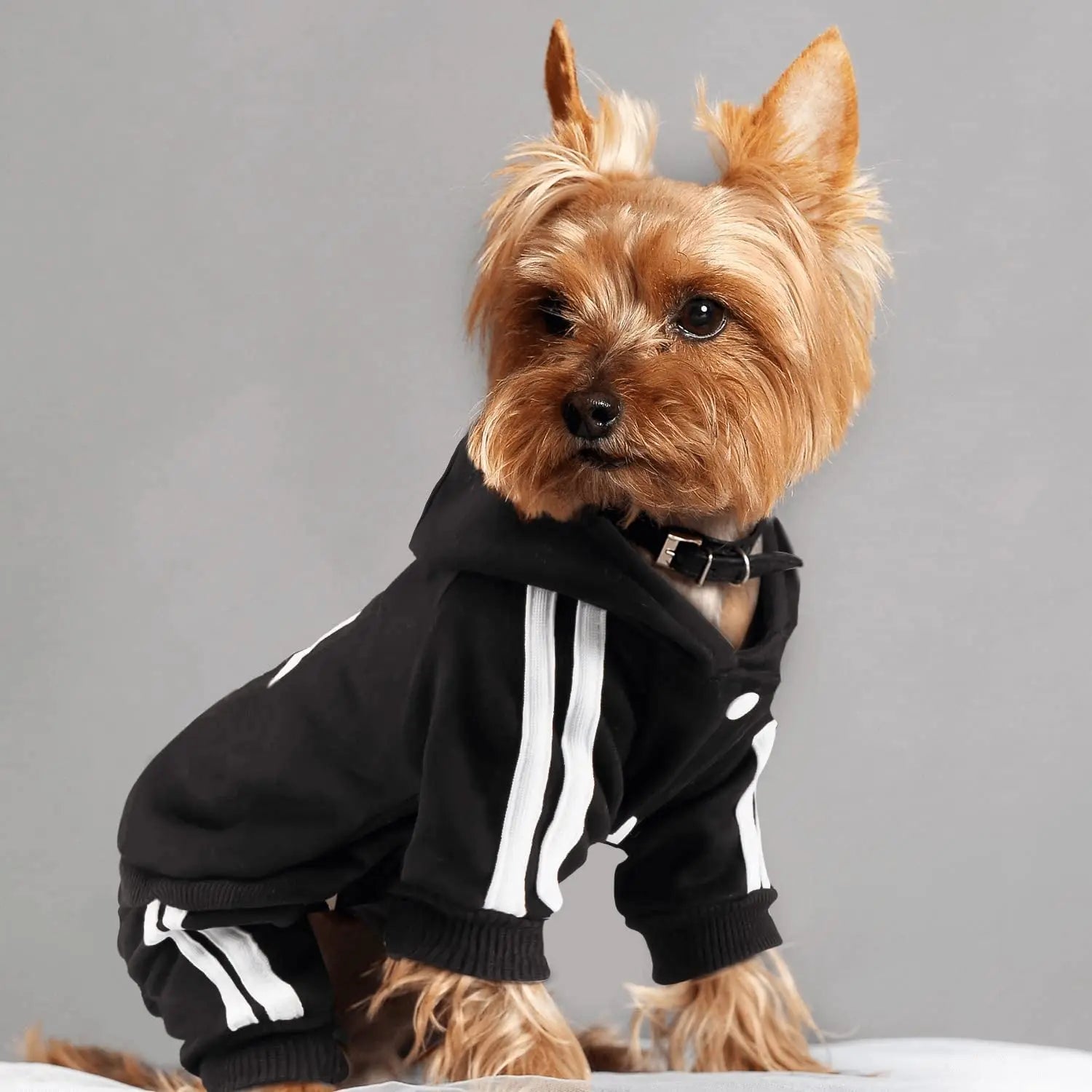 Adidog Dog Jumpsuit – Sports Suit for Small Dogs