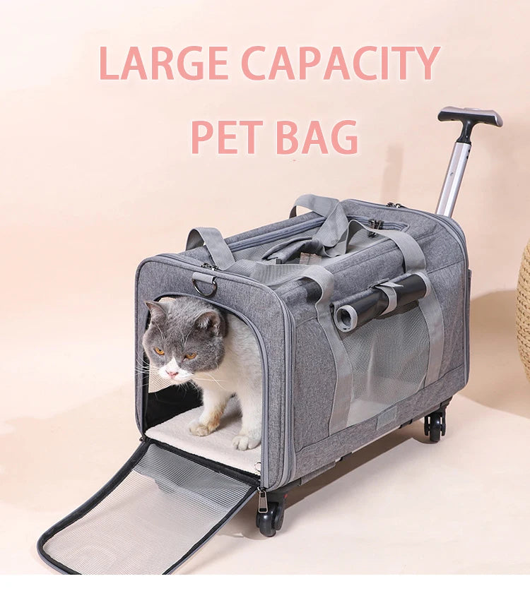 Rolling Pet Carrier – Airline Approved Travel Bag with Wheels for Dogs & Cats