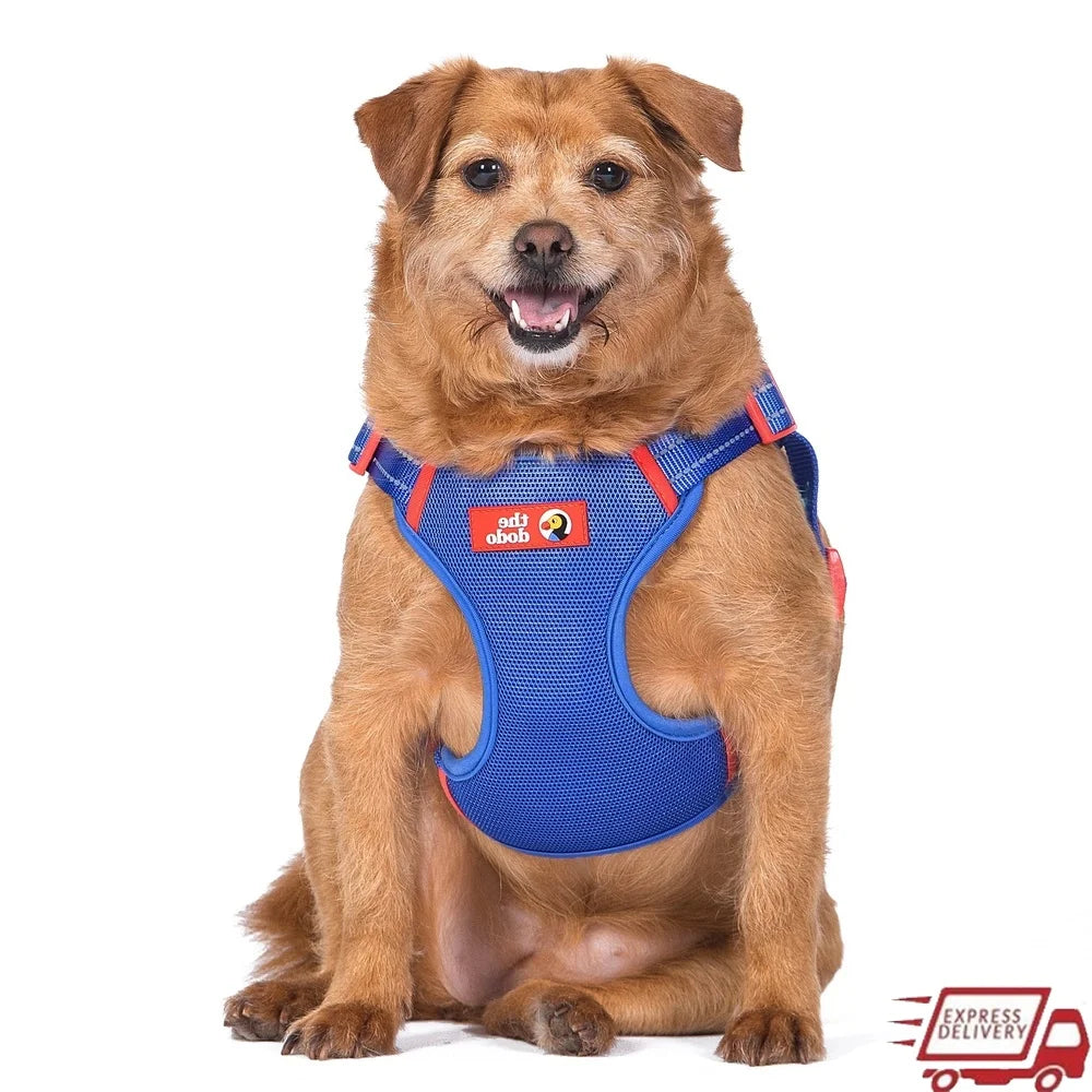 Adjustable Step-In Dog Harness – Breathable Mesh with Wide Chest Coverage & Secure Snap Buckle