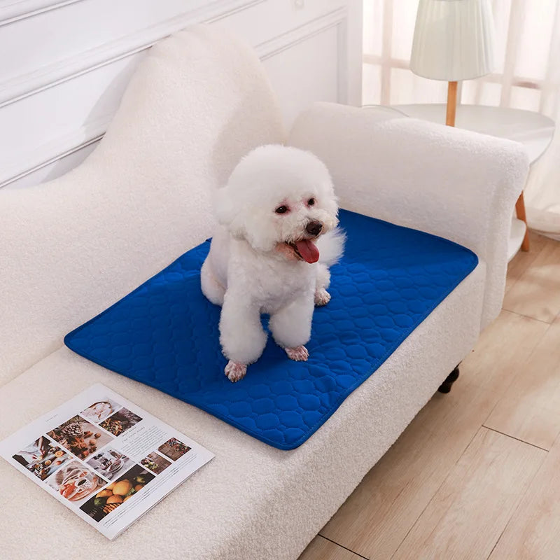 Reusable Dog Pee Pad Blanket – Absorbent Washable Training Pad & Bed Protector for Pets