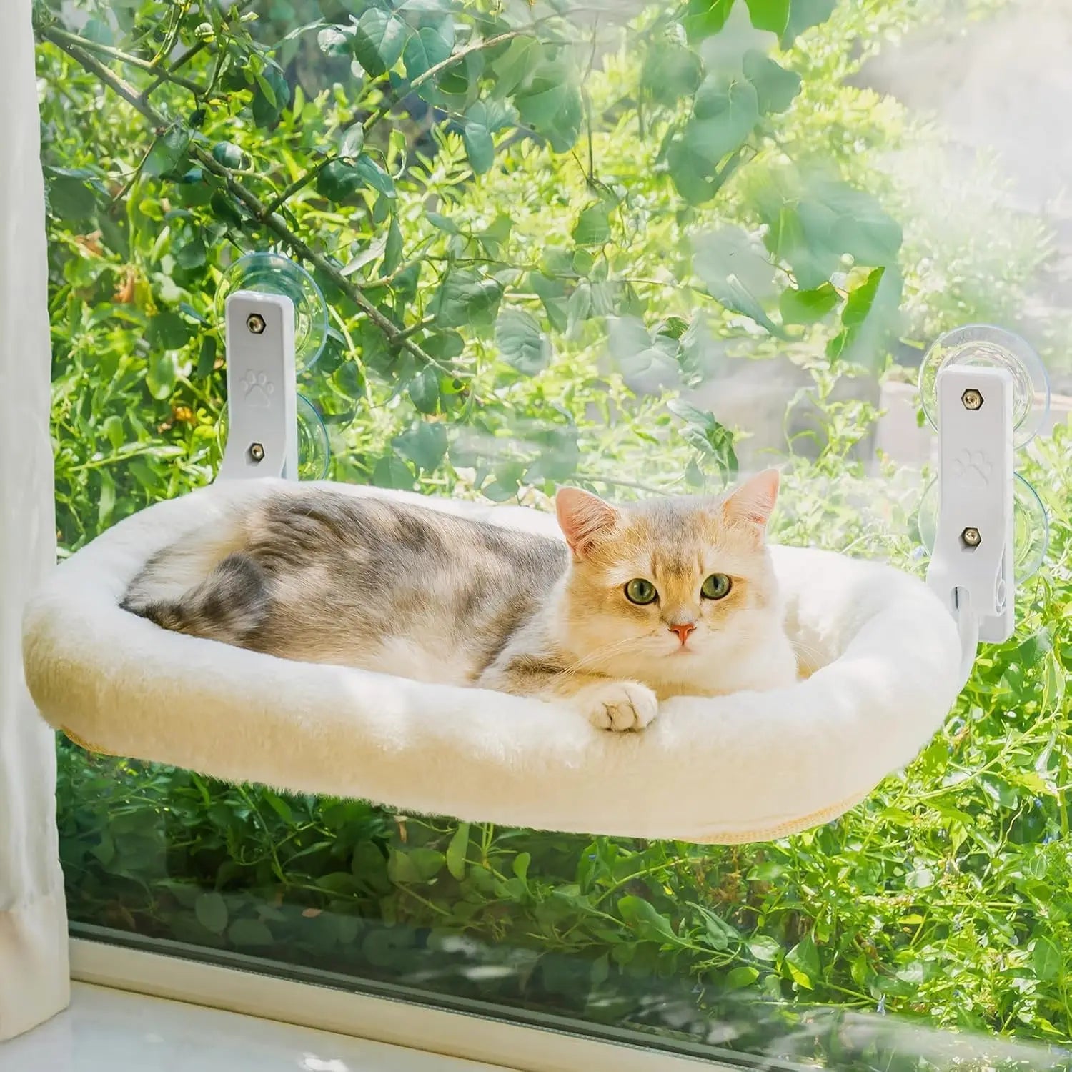 Mewoofun Foldable Cat Window Perch – Cordless Cat Hammock with 4 Strong Suction Cups & Removable Soft Cover (White, Brown, Green)