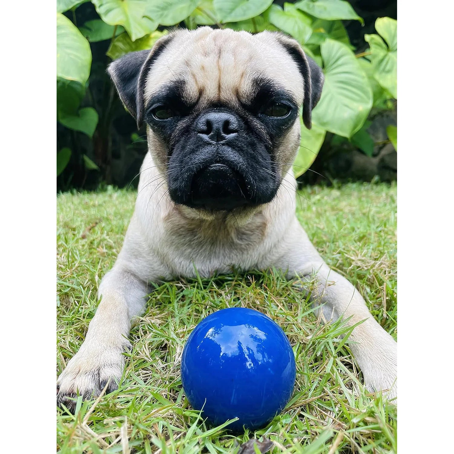 SuperChewy Tough Dog Ball Toy – Durable Natural Rubber Chew Toy for Aggressive Chewers | Large Breed Tested, Great for Fetch