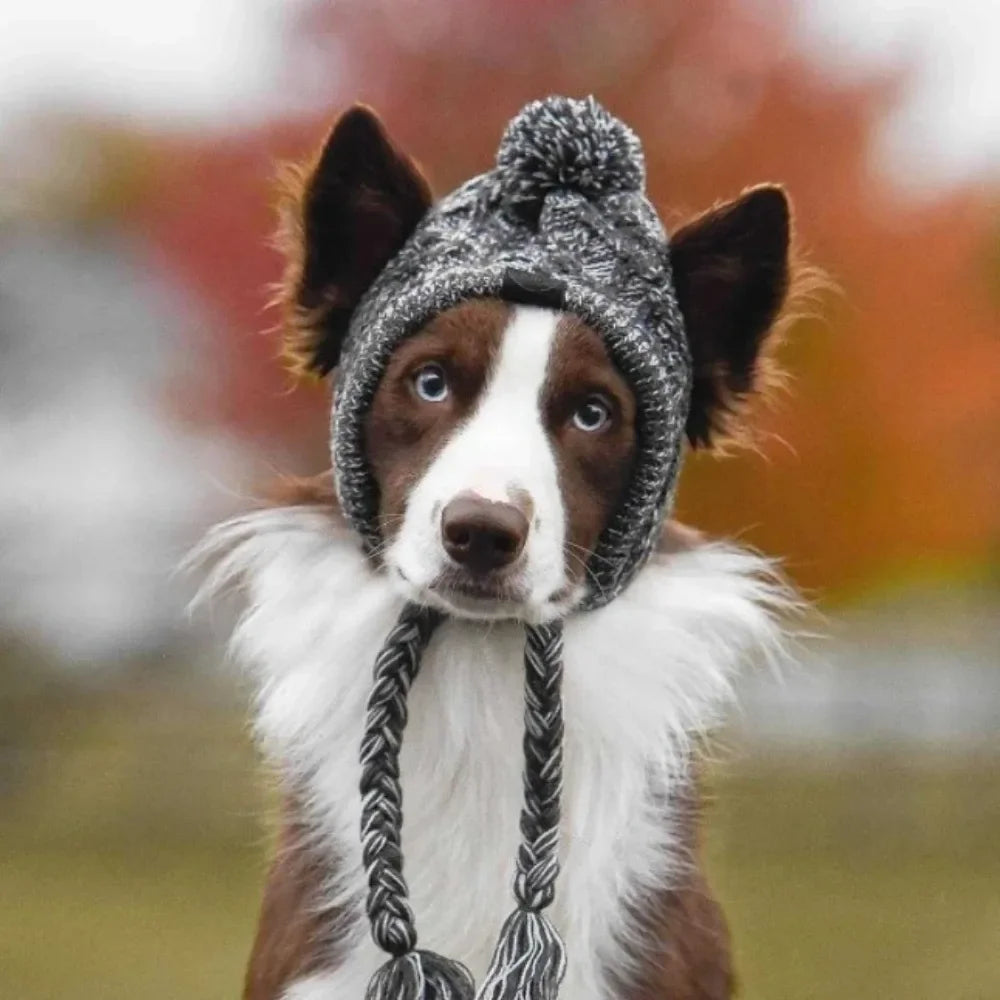 Winter Knitted Pet Hat – Warm Woolen Cap with Fur Ball for Cats & Dogs