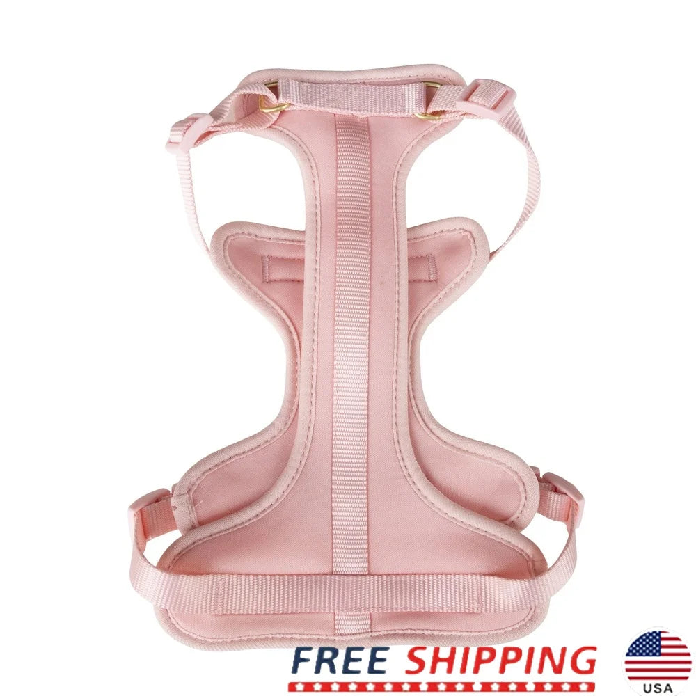 Adjustable Neoprene Dog Harness – XS Soft & Durable Walking Vest with Dual D-Rings for Secure Control