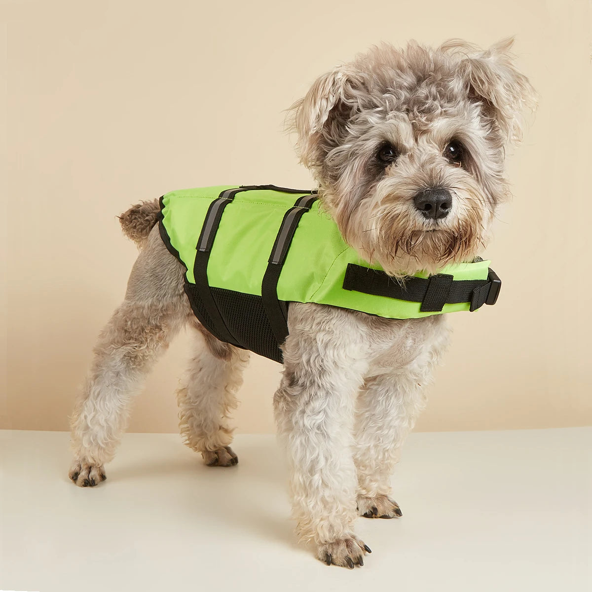 Reflective Dog Life Jacket – Adjustable Safety Swim Vest with Enhanced Buoyancy for Medium & Large Dogs