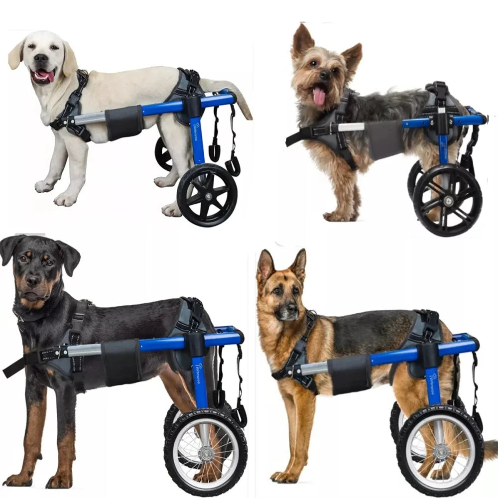 Adjustable Dog Wheelchair for Back Legs – Large Size with All-Terrain Wheels