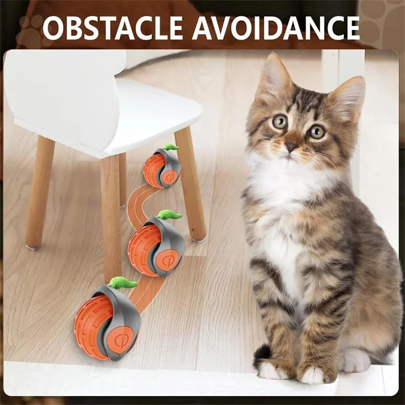 Smart Interactive Cat Toy Ball – USB Rechargeable Rolling Teaser