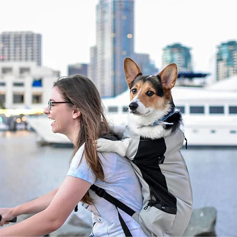 Dog Carrier Backpack – Strong Nylon Travel Bag for Small & Medium Dogs