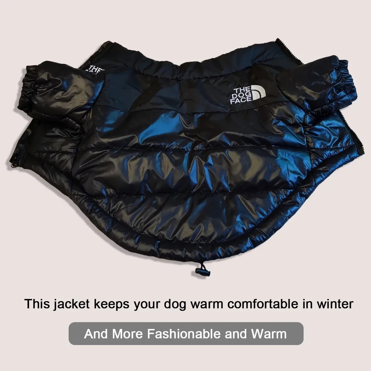 Winter Warm Dog Jacket – Reflective Windproof Coat for French Bulldog & Small Dogs