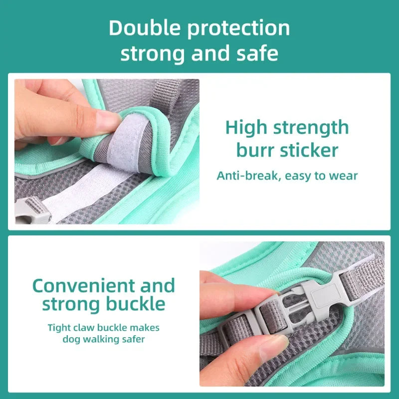 Small Dog Harness & Leash Set – Adjustable Soft Vest for Puppies, Cats & Toy Breeds (No-Choke, Outdoor Walking)