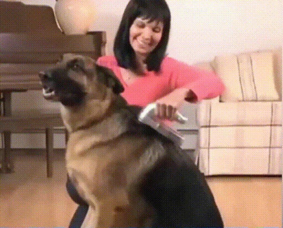 Portable Pet Vacuum Cleaner – Dual-Purpose Electric Hair Remover & Massage Grooming Tool for Cats & Dogs