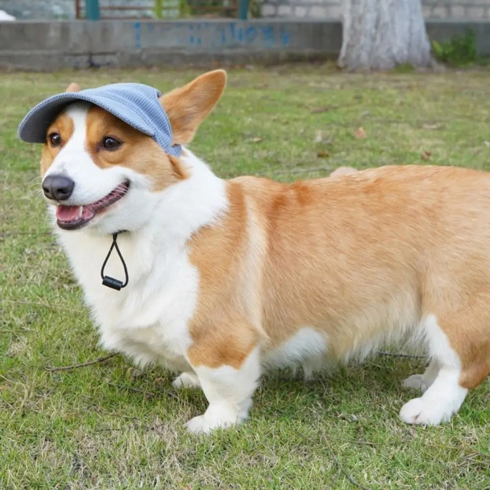 Adjustable Dog Baseball Cap – Breathable Sun Hat with Ear Holes for Outdoor Sports & Hiking