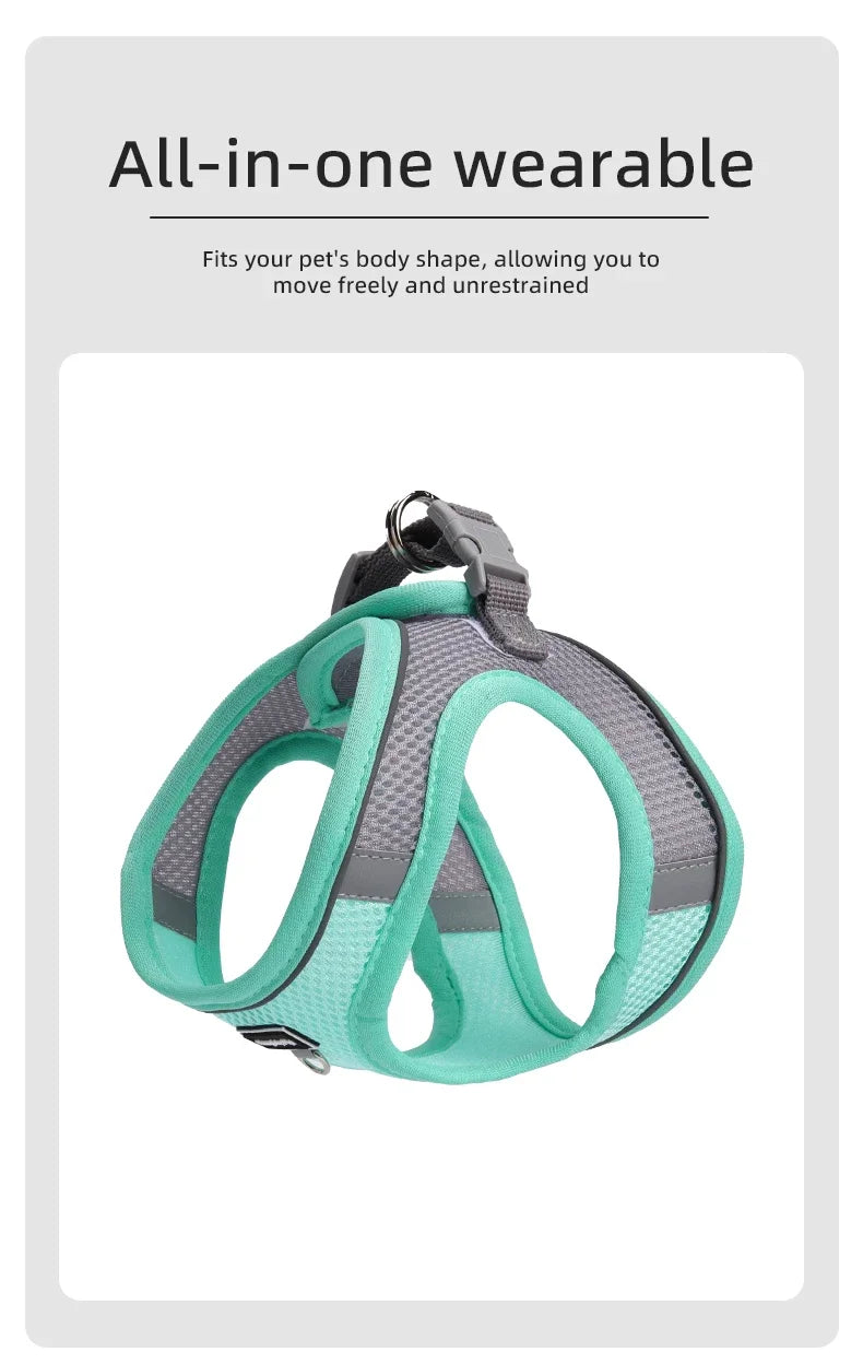 Small Dog Harness & Leash Set – Adjustable Soft Vest for Puppies, Cats & Toy Breeds (No-Choke, Outdoor Walking)