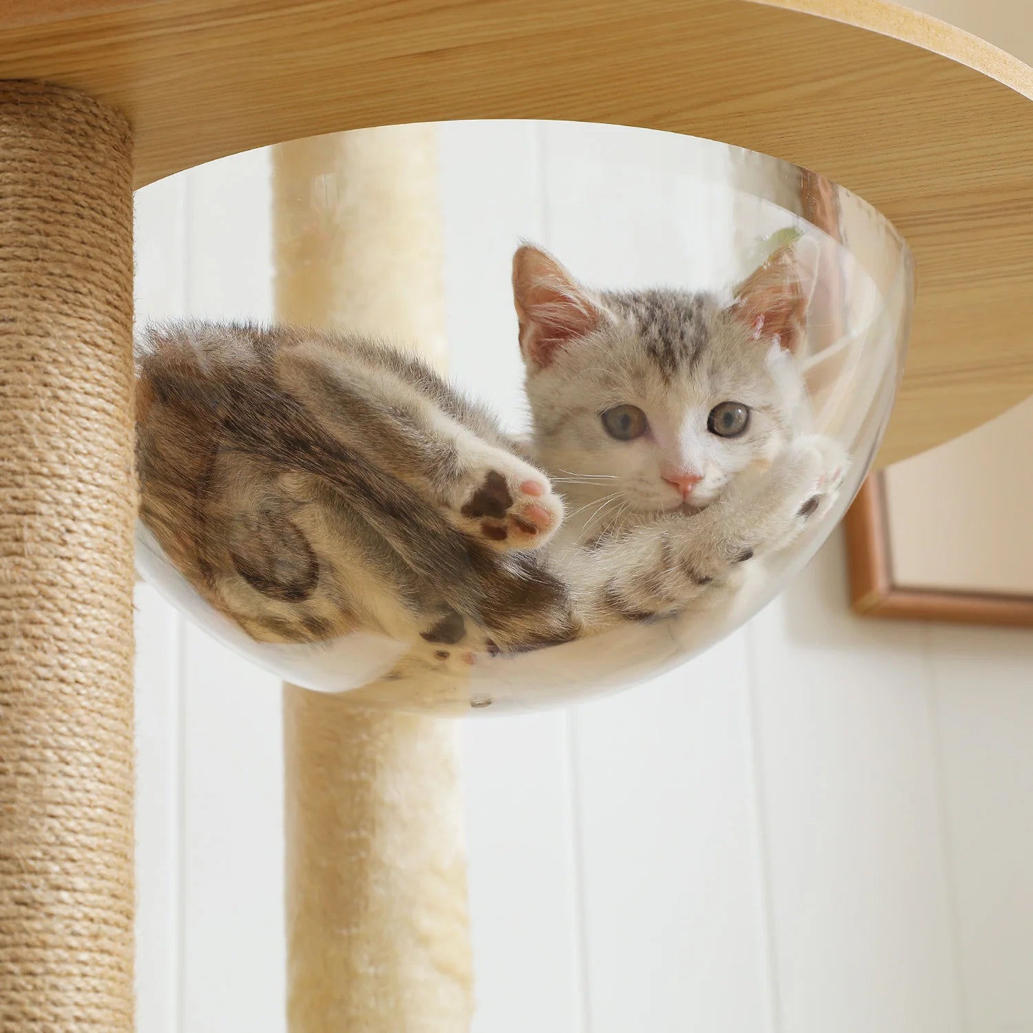 Multi-Level Cat Tree – Condo Tower with Hammock, Scratching Posts & Toys