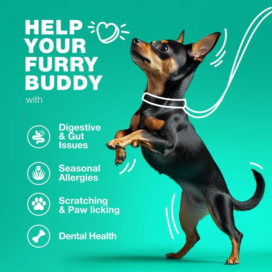 Probiotics for Dogs – Digestive Enzymes & Gut Health Support | Boosts Immunity, Reduces Itchy Skin, Yeast & Allergies | Anti-Coprophagia Formula