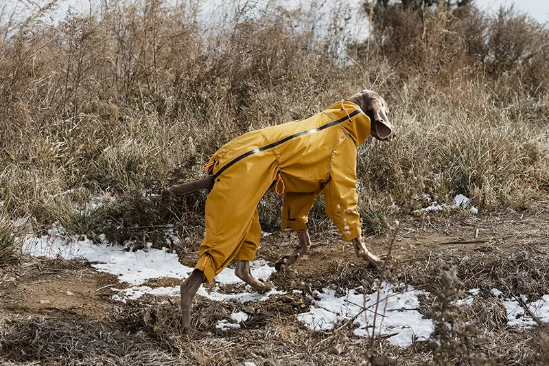 Four-Leg Waterproof Dog Jacket – Windproof Reflective Winter Suit with High Neck