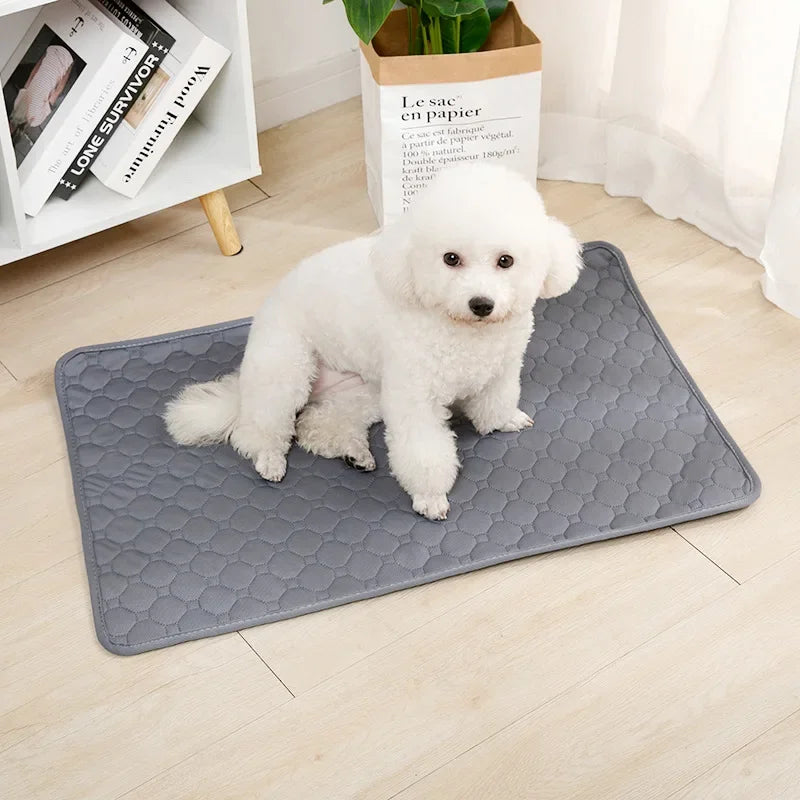 Reusable Dog Pee Pad Blanket – Absorbent Washable Training Pad & Bed Protector for Pets