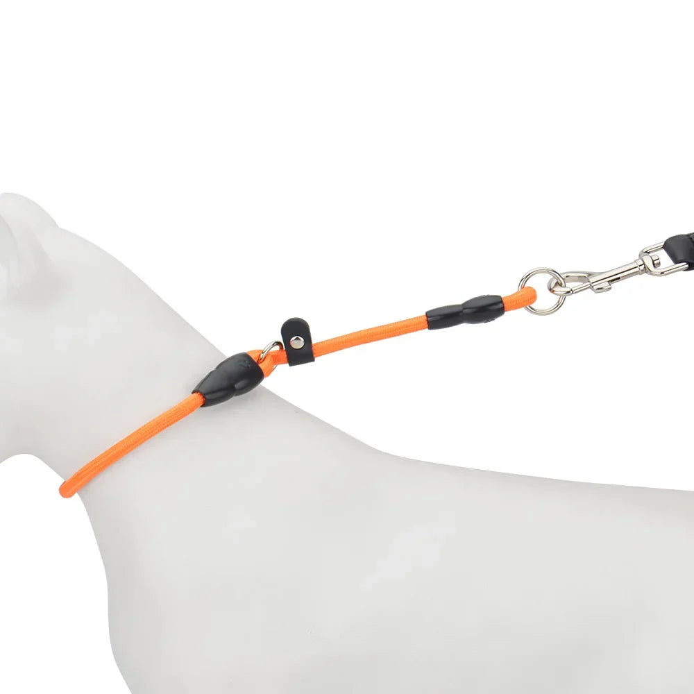 Dog Slip Collar – No-Pull Training Martingale Collar with Adjustable Stopper