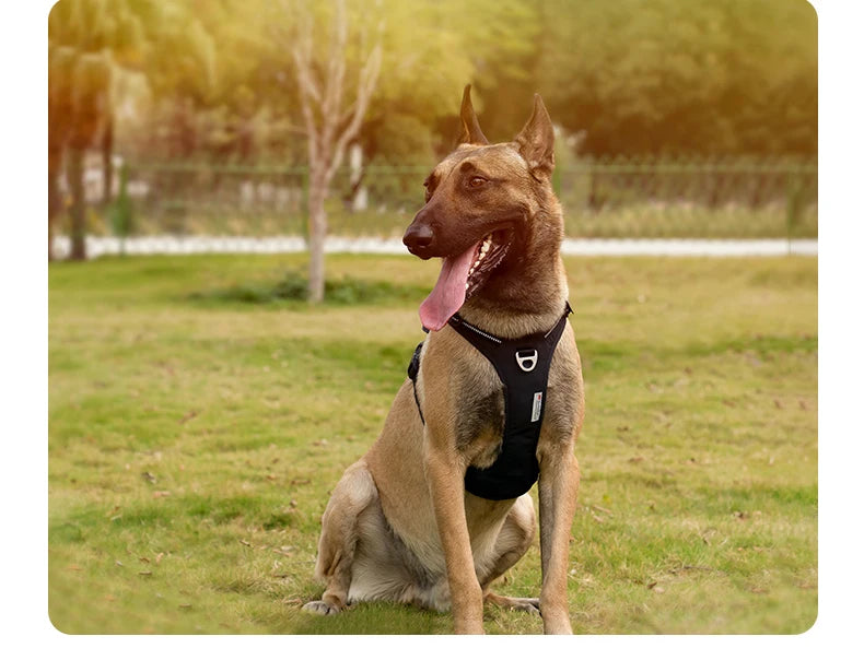 TRUE LOVE TLH5654 No-Pull Dog Harness – Adjustable Reflective Nylon Control Harness for Small to Large Dogs