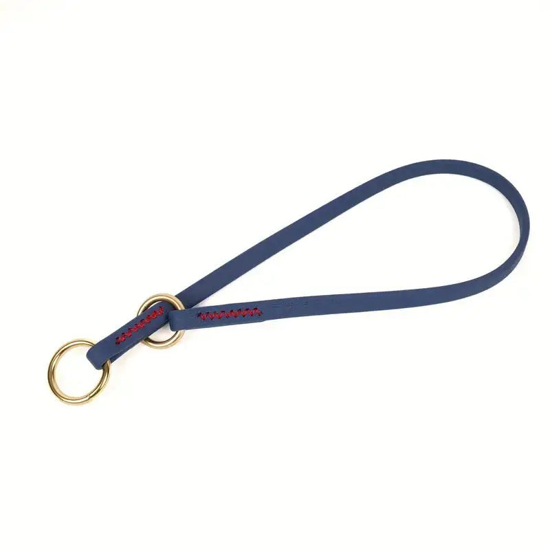 Waterproof P Chain Dog Collar – Easy-Clean Training Collar for Small & Medium Dogs