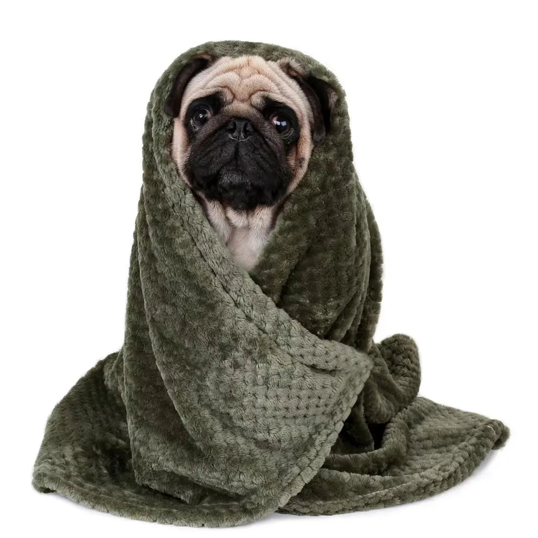 Soft Pet Blanket – Spring & Warm Dog Bed Blanket | Cozy Pet Sheets & Mat for Cats and Dogs