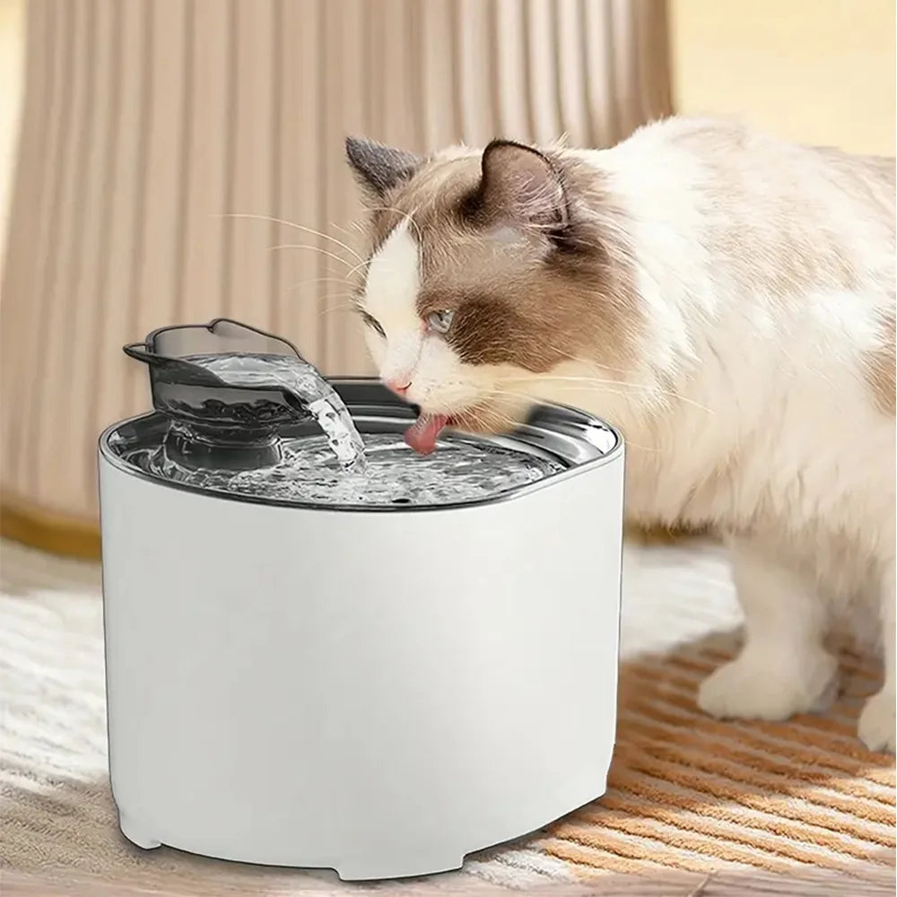 Cat Water Fountain – USB Quiet Pump, Automatic Recirculating Pet Water Dispenser for Cats & Small Dogs with Filter