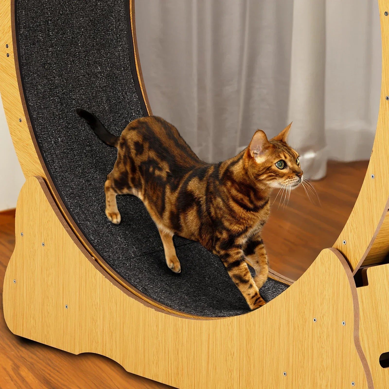 Cat Exercise Wheel – Indoor Running Wheel for Cats & Small Pets
