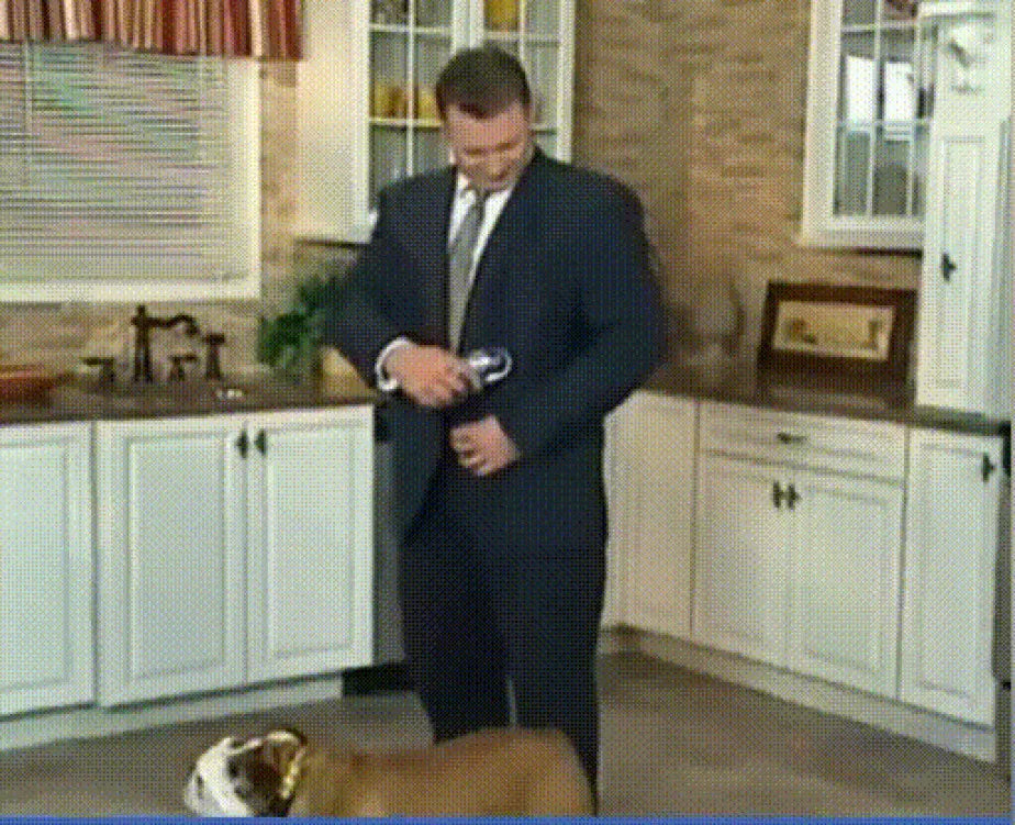 Portable Pet Vacuum Cleaner – Dual-Purpose Electric Hair Remover & Massage Grooming Tool for Cats & Dogs